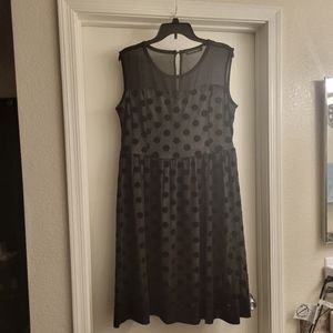 Black Sheer Polka Dot Sleeveless Dress